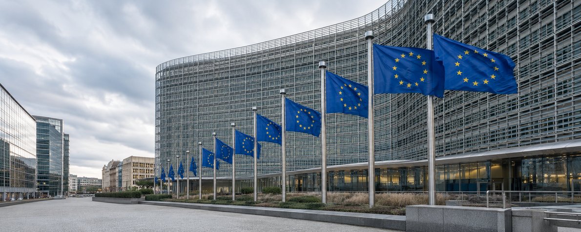 From the work of the EU institutions